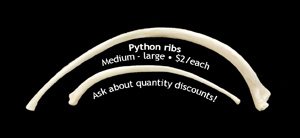 *python snake ribs*